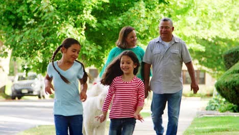 abuelos y nietas caminando con el perro por la calle
