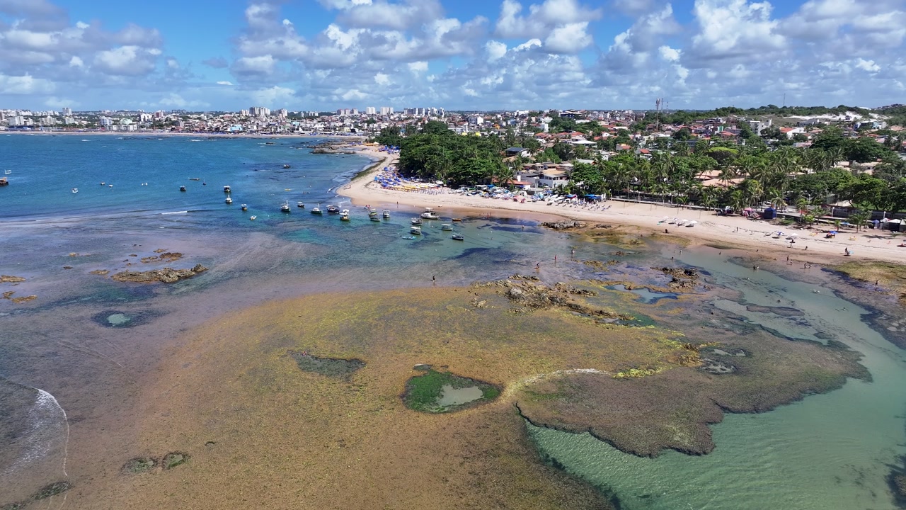 Itapua Beach At Salvador In Bahia Brazil. Tropical Skyline. Beach Landscape. Native Coconut Trees. Itapua Beach In Salvador In Brazil. Nature Seascape. Brazil Northeastern.