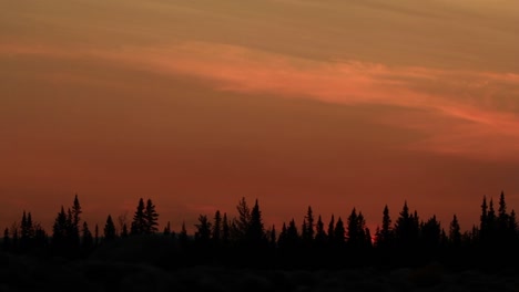 Atardecer-Con-Siluetas-De-árboles