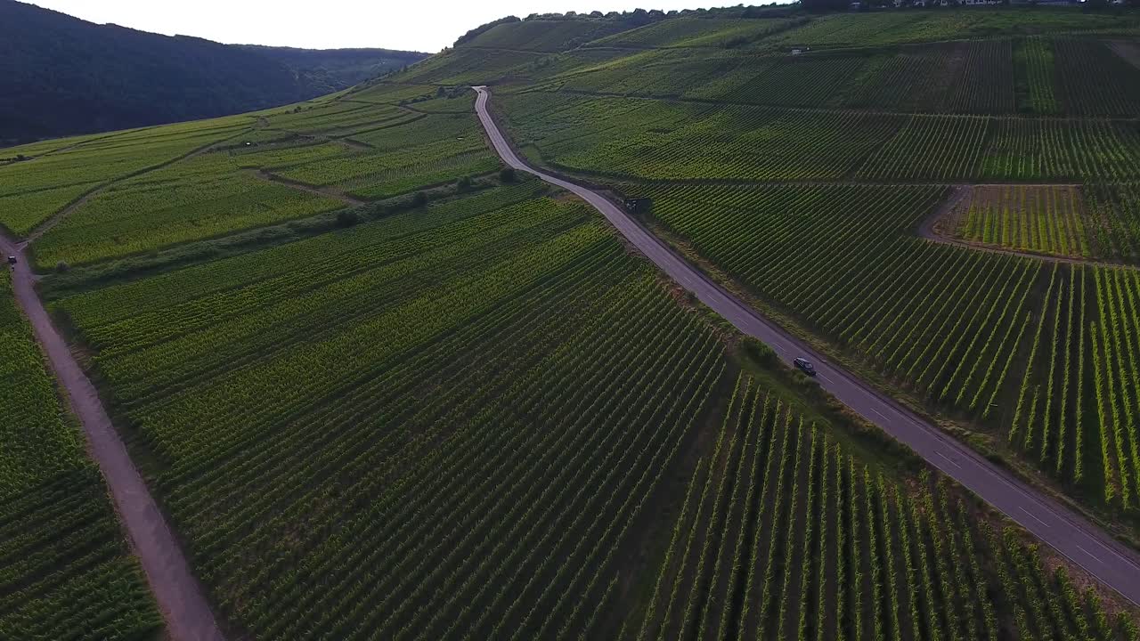 Vista aerea con drone in hovering di una valle verde con campi di luppolo e traffico stradale
