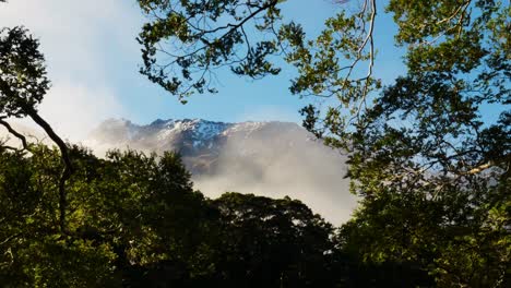 niebla que se eleva sobre el bosque con montañas