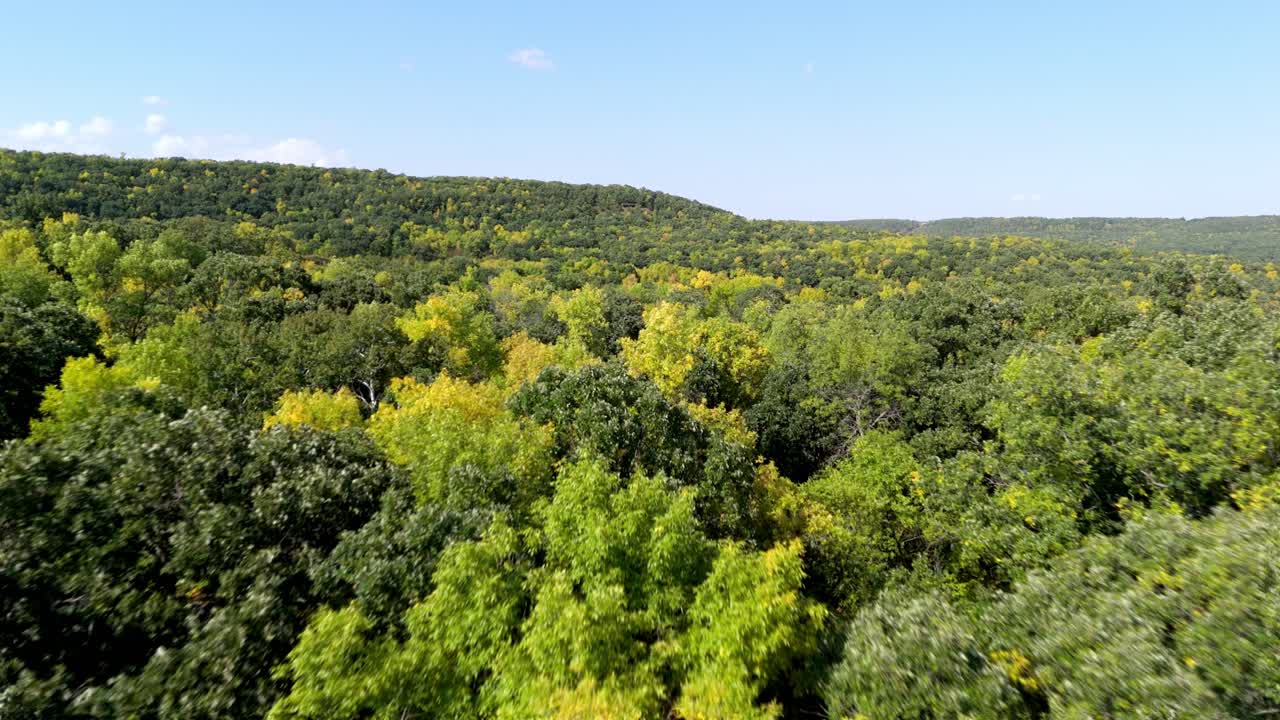 Drone footage of a wide forested valley with trees transitioning from green to yellow. A sweeping natural view under a clear blue sky