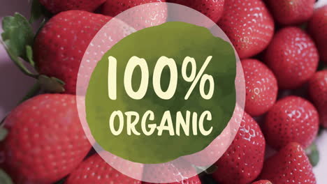 animation of 100 percent organic text on circle over strawberries background