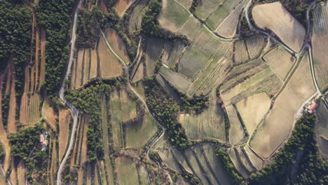 viñedos abstractas tomadas aéreas vaucluse francia vaison la romaine