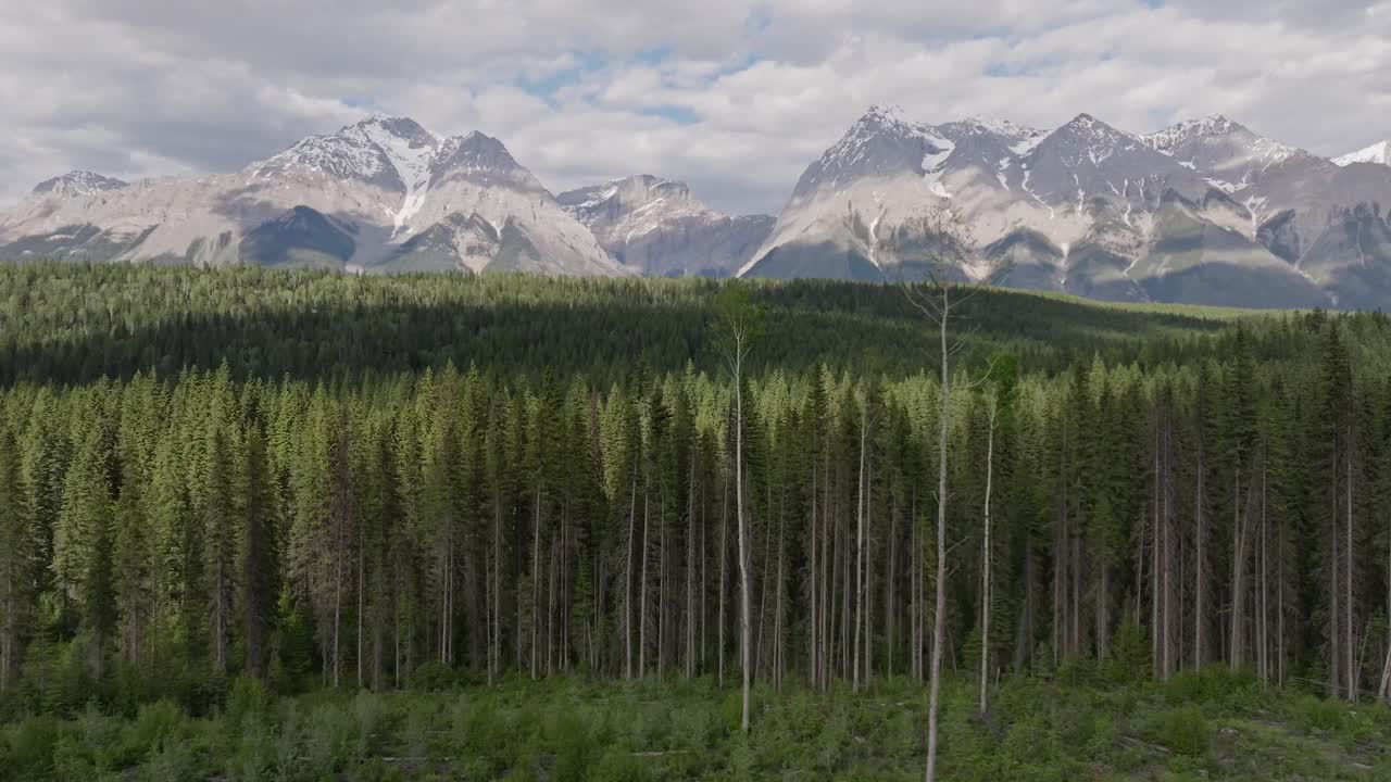 drone panorámica izquierda revelando altas montañas nevadas y un vasto bosque de pinos desierto cerca de banff y yoho parque nacional en canadá bajo un cielo parcialmente nublado