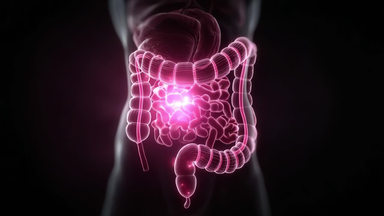 Esplorando le complessità del sistema digestivo umano: una vista ingrandita degli intestini in una sorprendente visualizzazione al neon