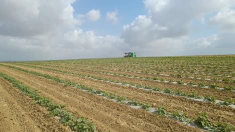 Toma-Aérea-De-Cultivos-De-Campo-En-Sdot-Negev,-Israel