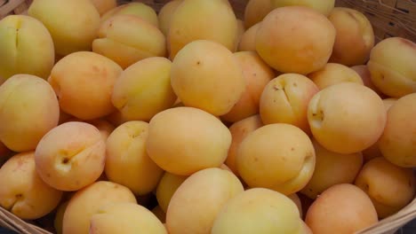 ripe apricots in sunny weather