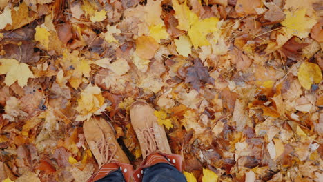 Füße-In-Herbststiefeln-Auf-Gefallenem-Herbstlaub-Dreht-Sich-Die-Kamera