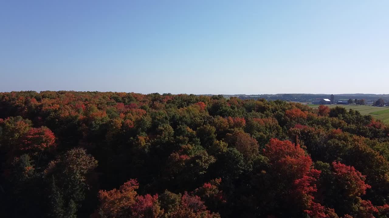 sobrevuelo aéreo del paisaje forestal, colores de pico de otoño