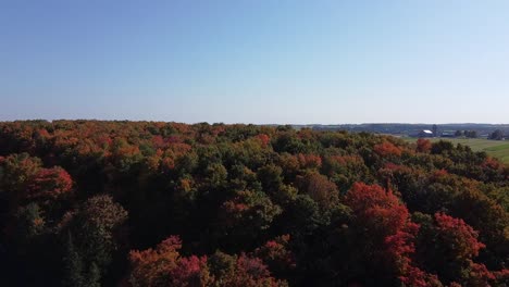 aerial flyover of forest landscape, peak fall colours