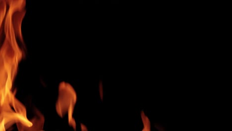 flames of fire on black background in slow motion