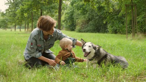 mother with baby toddler child sit near two big pet dogs happy family enjoy spend time on nature with animals