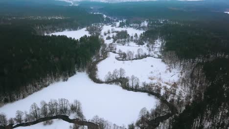 beautiful aerial view of river and forest in winter. meandring cold river in the middle of forest. top view on winter forest