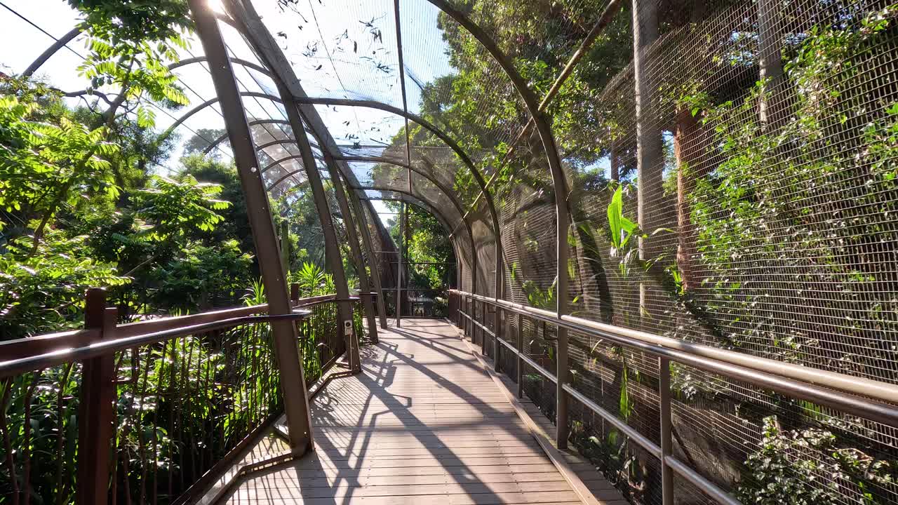 un paseo sereno a través de un recinto de pájaros