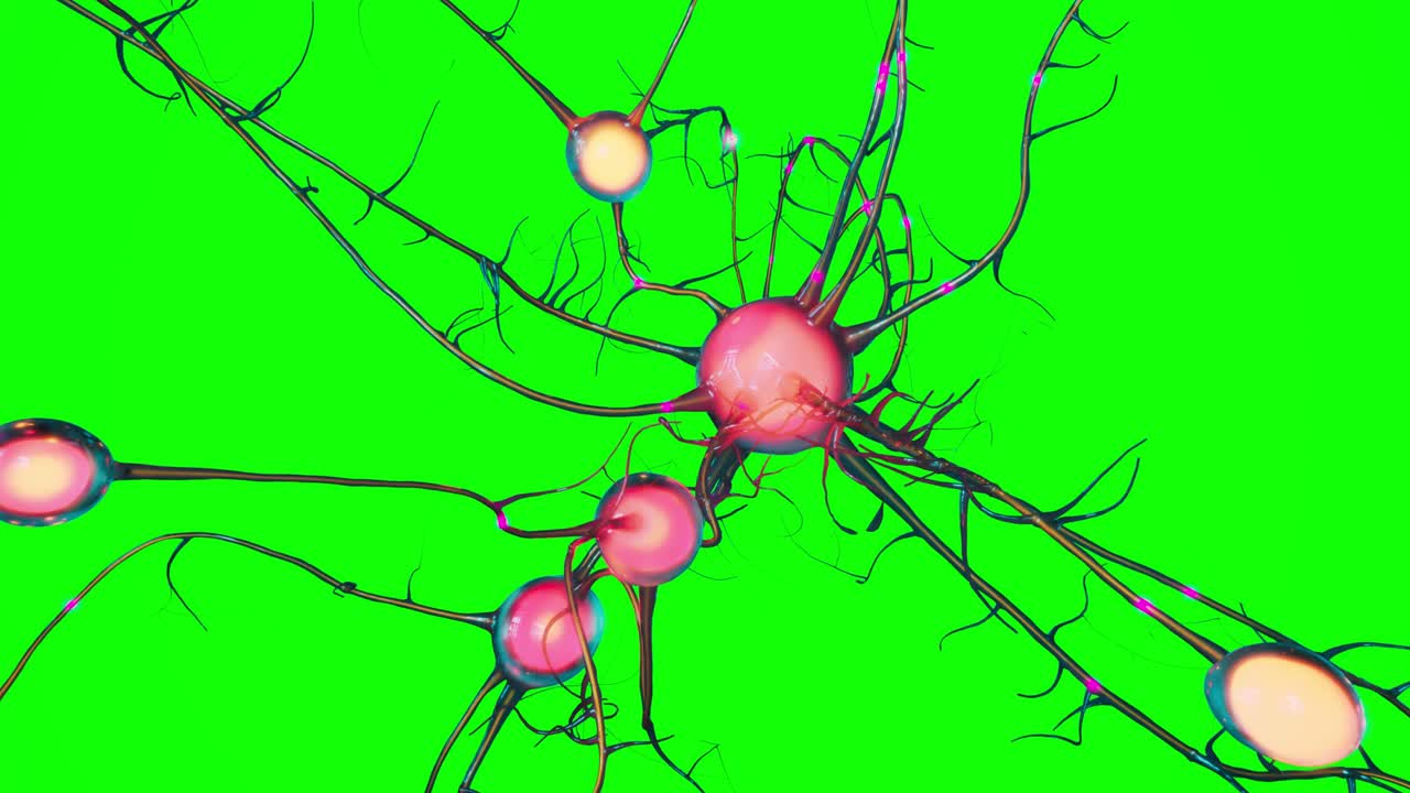 red shining brain nerve cell animation on green screen