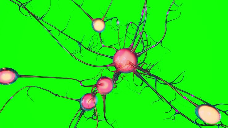 red shining brain nerve cell animation on green screen