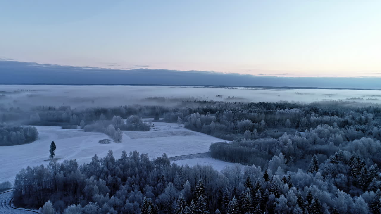 Luftfoto av et vakkert vinterlandskap med frosne jorder og snødekte skogstrær dekket av mystisk morgentåke