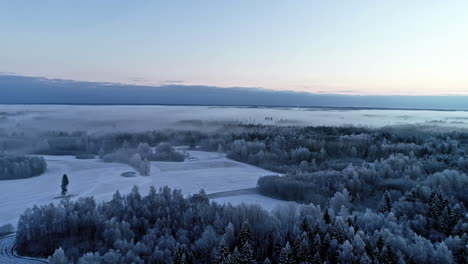 Sobrevuelo-Aéreo-Hermoso-Paisaje-Invernal-Con-Campos-Congelados-Y-árboles-Nevados-Cubiertos-Por-Una-Mística-Niebla-Matutina