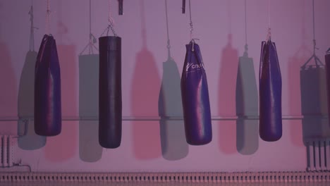 bolsas de boxeo colgando de una pared