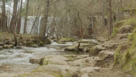 steady shot of a river and waterfall with trees