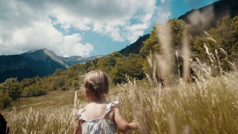 happy carefree girl run on mountain meadow through high grass on summer journey