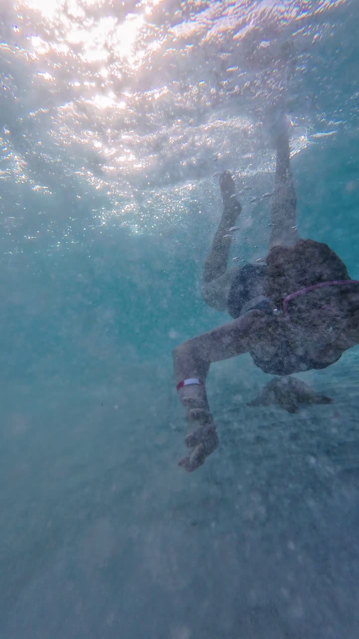 Scatto subacqueo verticale di una donna che fa snorkeling sopra stelle marine in acque caraibiche poco profonde al tramonto. La luce dorata filtra attraverso i mari turchesi, serena vita marina in un paradiso tropicale, Venezuela.
