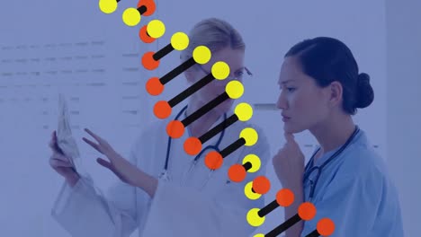Animation-Der-DNA-Struktur-über-Zwei-Verschiedene-Ärztinnen,-Die-über-Einen-Bericht-Im-Krankenhaus-Diskutieren
