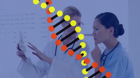 animación de la estructura del adn sobre dos doctores femeninas diversas discutiendo sobre un informe en el hospital