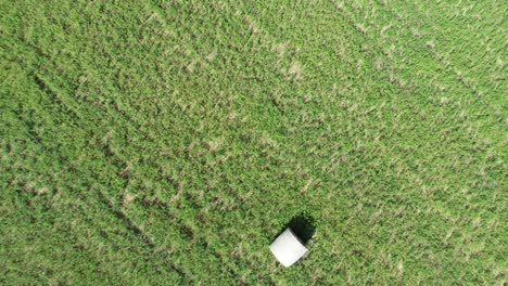 Toma-Aérea-De-Un-Dron-Alejándose-De-Un-Campo-De-Heno