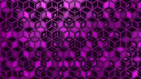 el fondo del rombo