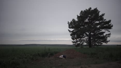 a person lying on the ground in a field, under a large tree on a cloudy day.