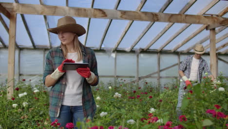 modern small flower growing business. colleagues florists work together with tablet computers in a greenhouse. 2 modern gardeners inspect flower buds together