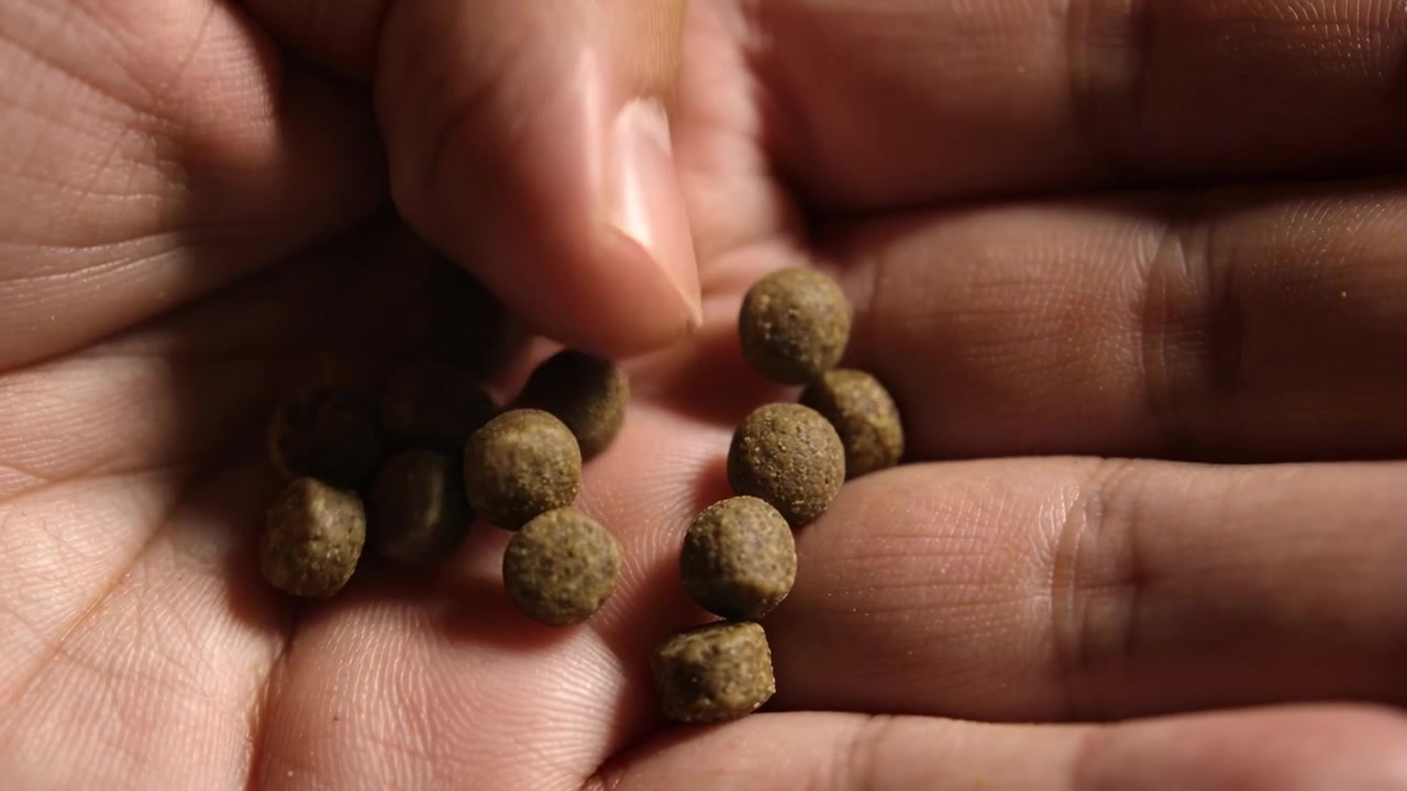 Pollice e indice che pizzicano dei pellet sul palmo della mano in una luce calda per l'ispezione.