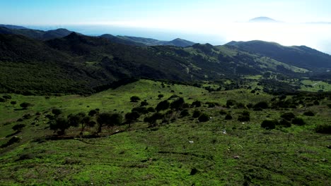 Colinas-Verdes-Vistas-Desde-Un-Dron-En-Un-Hermoso-Día-Soleado,-El-Mar-Mediterráneo-Al-Fondo