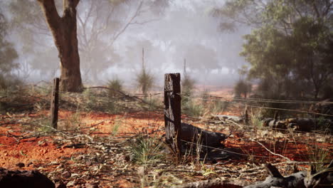 a barbed wire fence in a foggy australian outback