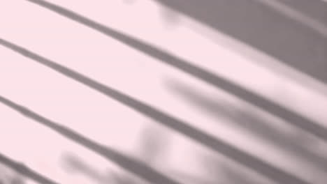 abstract shadows animated overlay, transparent 4k video, alpha channel, prores 4444