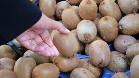 person buying kiwi fruits at the market