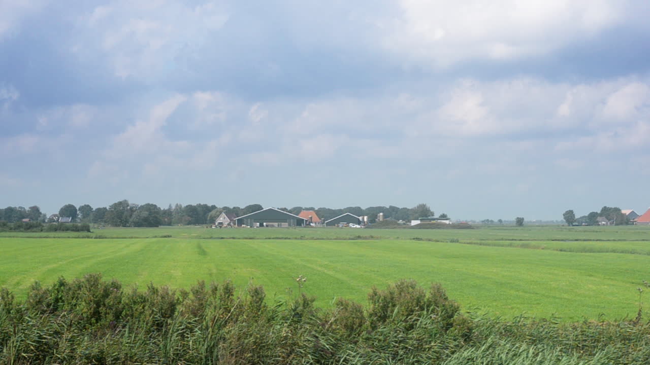 우유 풀 재배를 위한 빈 초원, 움직이는 카메라