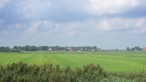 empty meadows for dairy gras farming, moving camera