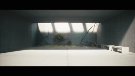 minimalist concrete garden interior