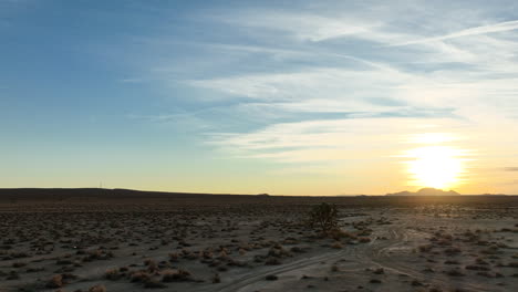 Un-Solitario-árbol-De-Joshua-Crece-En-El-Vasto-Paisaje-Del-Desierto-De-Mojave---Paralaje-Aéreo-Al-Atardecer