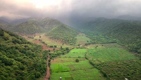 Paisaje-Agrícola-Con-Campos-De-Plantación-De-Arroz-En-Crecimiento-En-Lo-Profundo-De-Las-Montañas-En-La-Isla-De-Sumbawa,-Indonesia