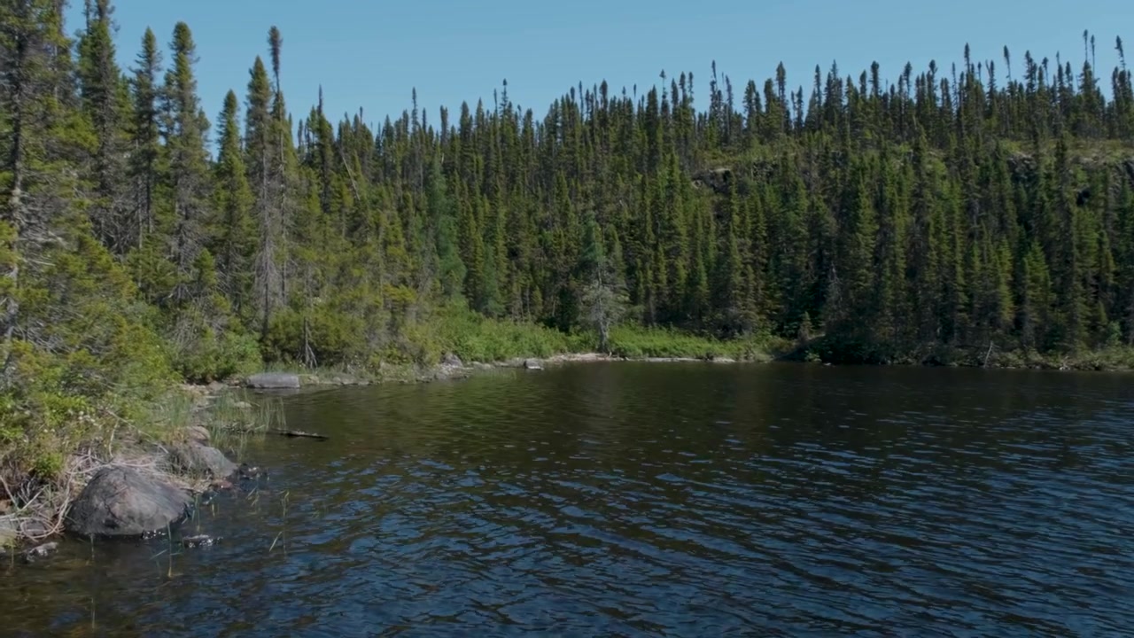 A serene lake journey unfolds from the deck of a fishing boat near the forest shoreline