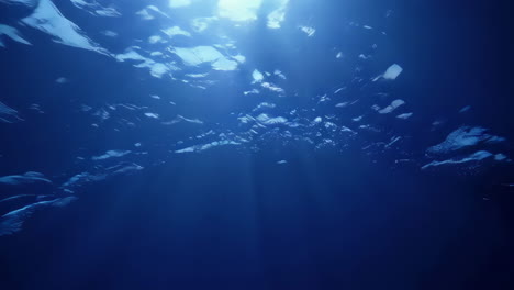 Deep Underwater Scene