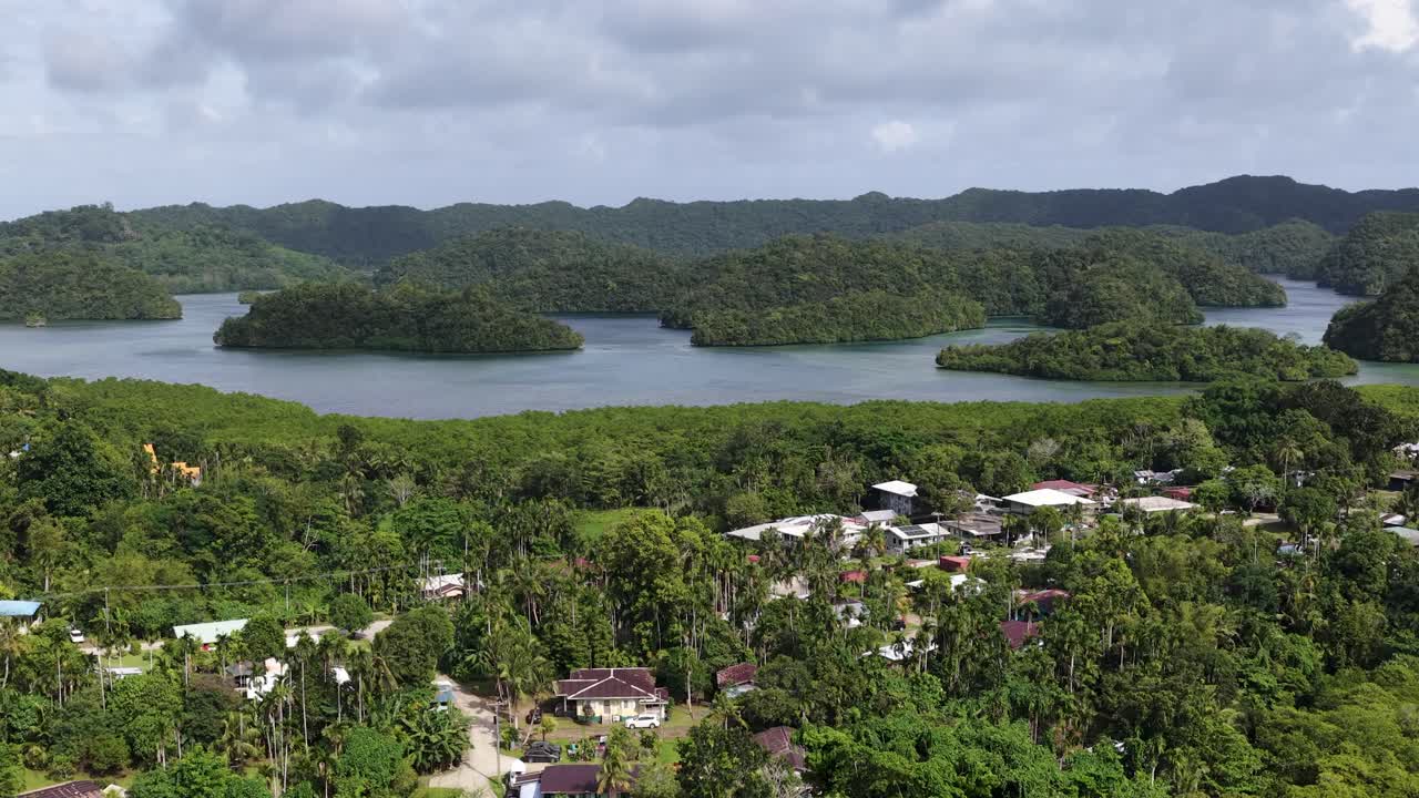 Un filmato di drone cattura un'ampia vista panoramica di foreste tropicali, case residenziali e isole calcaree.