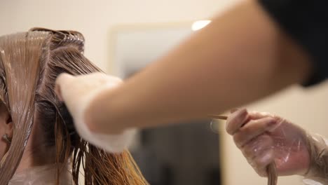 a hairdresser is in the process of dyeing a woman 4k 2025 08 05 02 24 57 utc.mov | ammonia-free, ammonia-free paint, apply, applying