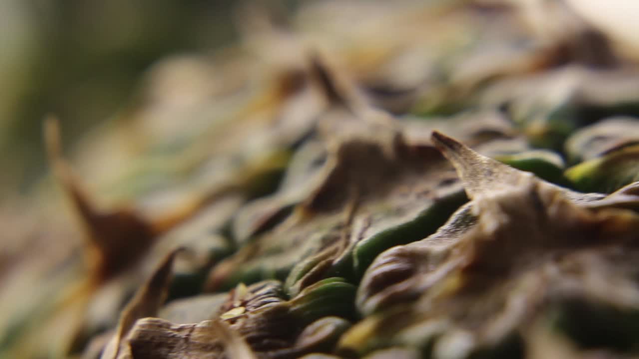 흰색 배경-2에 신선한 황금 파인애플 아나나스