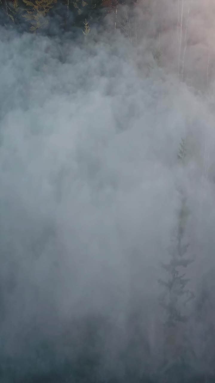 Aerial view of a misty forest with dense fog, creating a mysterious and ethereal atmosphere, perfect