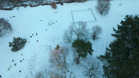 órbita-Aérea-Alrededor-De-Niños-Y-Familias-Deslizándose-En-Trineo-Por-Una-Colina-Blanca-Cubierta-De-Nieve-En-El-Borde-Del-Bosque